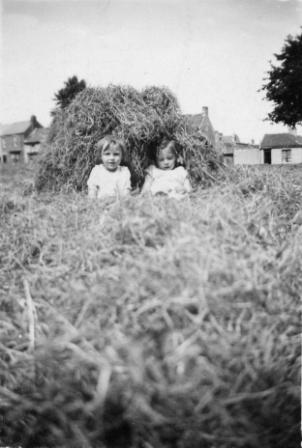 Making hay on the green