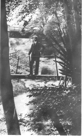 The Shrubberies, Aycliffe