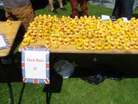 Ducks for the duck race