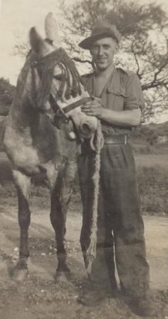 Alan Wheadon, World War 2