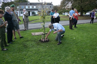 Cross being placed by tree