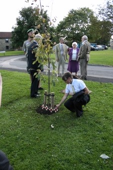 Cross placed by tree