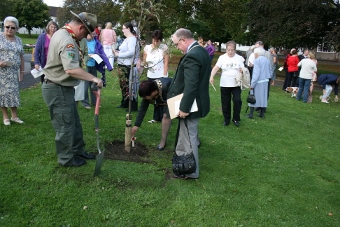 Cross being placed by tree