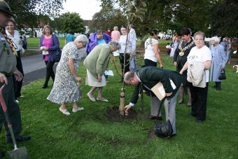 Cross being placed by tree