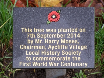 WW1 Tree planting plaque Harry Moses