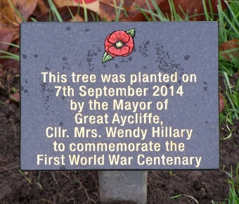 WW1 Tree Planting Plaque Wendy Hillary