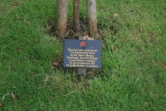 Tree plaque