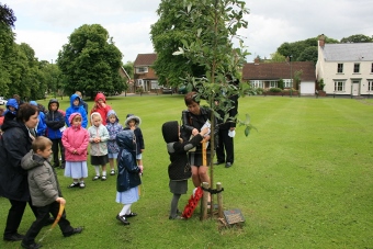 Pupils hang "We will remeber" tags on trees