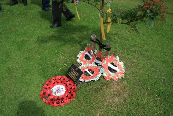 Wreaths at tree laid by pupils